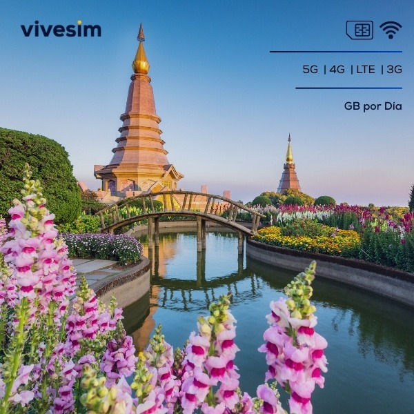 eSIM y SIM card Asia